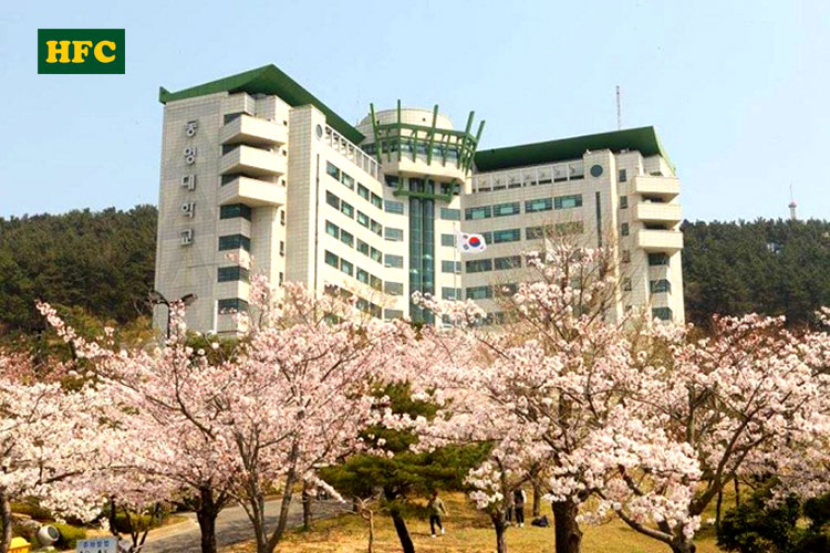 Du học Hàn Quốc Trường Đại học Tongmyong Hàn Quốc – 동명대학교