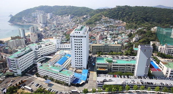 Trường Đại học Kosin Hàn Quốc - Trường TOP 1% Visa Thẳng